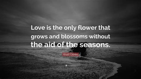 kahlil gibran quotes on love